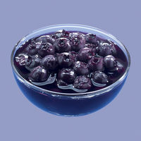 国分グループ本社 KK にっぽんの果実 岩手県産 ブルーベリー 1セット（2個）