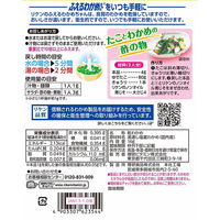 理研ビタミン リケン ふえるわかめちゃん 国内わかめ 16g 1個