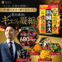 ファイン　金のしじみウコン 肝臓エキス 90粒　1袋　サプリメント