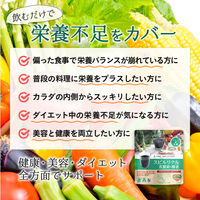 ファイン　スーパーフード スピルリナ&乳酸菌×酵素 150g　1袋