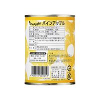 三菱食品 パインアップル スライス（タイ産） 565g 1セット（3缶）