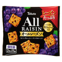 ２枚×１１袋ファミリーサイズオールレーズン 1セット（3袋）
