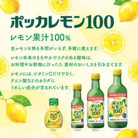 【機能性表示食品】ポッカレモン100 濃縮還元レモン果汁100％ 120ml 1個　ポッカサッポロ