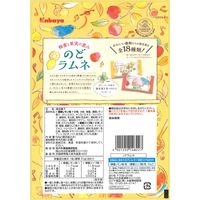 カバヤ食品 のどラムネ 1セット（2個）