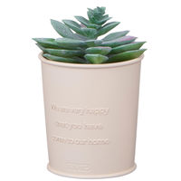 バルサン 虫除け 虫こないもん 置くだけプランツ　(270日)　 無香料 レック　置き型・置くタイプ1セット(3個)