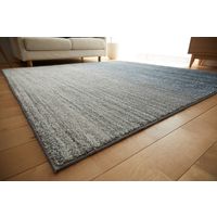 スミノエ HOMRUG 抗菌・抗ウィルス・防炎ラグ リュイール 1300×1900mm ブルー 1枚（直送品）