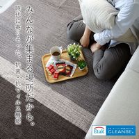 スミノエ クレンゼラグ 抗菌・抗ウィルスラグ 1800×1800mm ネイビー 1枚（直送品）