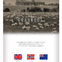 スミノエ HOMRUG GRANWOOLグランウール 抗菌・抗ウィルスラグ ツイードヘリンボン 1300×1900mm アイボリー 1枚（直送品）