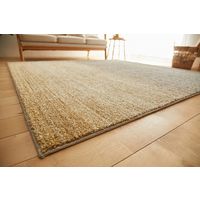 スミノエ HOMRUG 抗菌・抗ウィルス・防炎ラグ リュイール 1900×1900mm グレージュ 1枚（直送品）