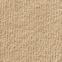 スミノエ カラーパレット WOOLSOFT 防炎カーペット ウールソフト 江戸間4.5 2610×2610mm ベージュ 1枚（直送品）