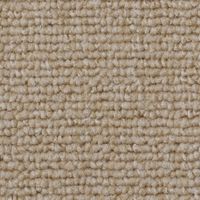 スミノエ カラーパレット MOLTO 防炎カーペット モルト 江戸間4.5帖 2610×2610mm コーヒー 1枚（直送品）