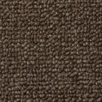 スミノエ カラーパレット MOLTO 防炎カーペット モルト 江戸間4.5帖 2610×2610mm ブラウン 1枚（直送品）