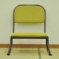 エイ・アイ・エス 楽座椅子 ロータイプ グリーン RCL-03GN-4PCS 1セット(4脚入)（直送品）