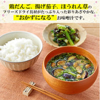 味の素　具たっぷり味噌汁 おかず味噌汁 茄子と鶏だんご　1セット（3個）