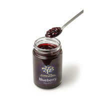 超低糖度25°ブルーベリー 3本 ジャム デイリーフーズ