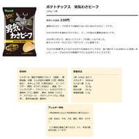 山芳製菓 ポテトチップス 男気わさビーフ 100g 3袋 スナック菓子