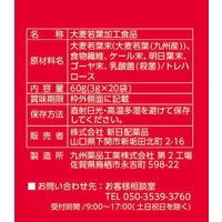 新日配薬品 乳酸菌青汁 3箱（20包入） 青汁
