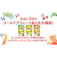 リプトン コールドブリュー ルイボス＆ホワイトピーチティー ティーバッグ 1袋（12バッグ入）