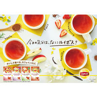 【ノンカフェイン】 リプトン バニラルイボス ティーバッグ 1個（15バッグ入）