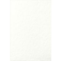 デザインフィル はがき パルパー 20枚入 白 88150006 1セット(1パック×2)