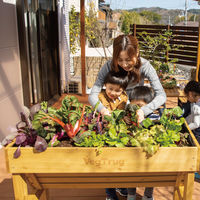 タカショー ホームベジトラグ S VGT-01F 1台（直送品）