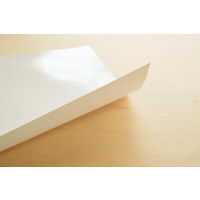 欧文印刷 消せる紙 A3 ホワイトボード PNCGSA3W08 1冊（8枚入）