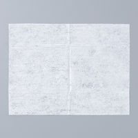除菌ウェットティッシュ　約150×200mm　1パック（10枚×2袋入）　除菌クロス　アルコールタイプ　昭和紙工