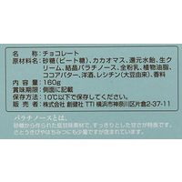 創健社 生チョコレートペースト 160g 121507 1セット(160g×10)（直送品）