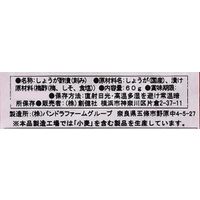 創健社 紅しょうが(細切) 60g 121992 1セット(60g×30)（直送品）
