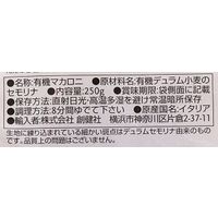 創健社 ジロロモーニ　デュラム小麦　有機ペンネ 250g 140651　1セット（250g×12）（直送品）