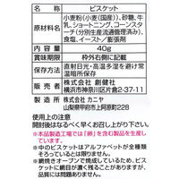 創健社 メイシーちゃん（ＴＭ）のおきにいり　ＡＢＣのビスケット 40g 161505　1セット（40g×15）（直送品）