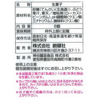 創健社 メイシーちゃん（ＴＭ）のおきにいり　ぶどうのゼリー 8個 161516　1セット（8個×12）（直送品）