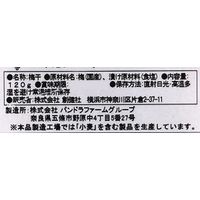 創健社 国産特別栽培南高梅 白干 120g 40238 1セット(120g×12)（直送品）