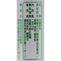 創健社 丹沢サイダー 250ml 90303 1セット(250ml×30)（直送品）