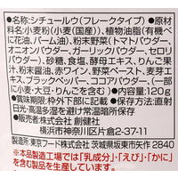 創健社 植物素材のデミグラス風ソース 120g 111129 1セット(120g×10)（直送品）