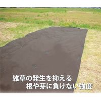 シンセイ ストロングマット 3mm厚2×20m 茶 4573459627617 1巻（直送品）