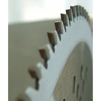 フジ鋼業 鬼の爪チップソー竹刈名人255×100P 035613 1箱