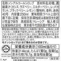 日仏貿易 【モナン】グレナディン・シロップ　250ml R4-13 6個（直送品）