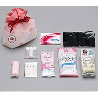 ミドリ安全 防災用品セット レディースセット さくら2 4082100177 1式（直送品）