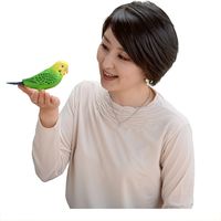 タカラトミー 毎日おしゃべり天才インコちゃん a24101 1個（直送品）
