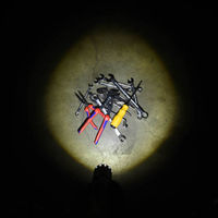 LED LENSER 充電式防爆懐中電灯(LED) レッドレンザー EX7R 明るさ220lm 502101 1個