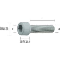 トラスコ中山 TRUSCO ポリ塩化ビニル(PVC) 六角穴付ボルト M3X10 50本入 BPVC-CBM3X10 1袋(50本)（直送品）
