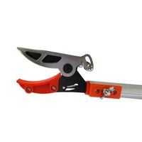 CLUB.J アークランドサカモト 軽量伸縮式高枝切鋏 アンビル刃 1.8~3.0m 5段階伸縮 鋸刃付き CJー2009OR 1丁（直送品）