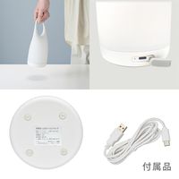 オーム電機 LEDシリコンランプ 06-5082 1台（直送品）