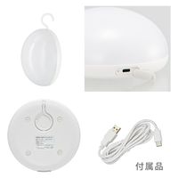 オーム電機 LEDプッシュランプ 06-5081 1台