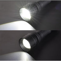 オーム電機 LEDズームライト ラバーグリップ ECLAT USB充電式 900ルーメン 08-0937 1個