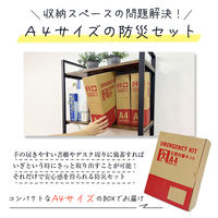 充実A4防災セット プラス 1人用 レッド 10セット 非常用持ち出し袋 防災グッズ ナップサック コンパクト A4ボックス 非常食（直送品）