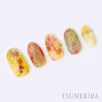 イングカワモト TSUMEKIRA(ツメキラ) ネイルシール 秋の彩り NN-ALS-101 1セット(3枚)（直送品）