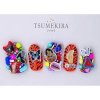 TSUMEKIRA(ツメキラ) ネイルシール DAISYプロデュース6 おちゃっぴーコラージュ NO.2 NN-DAI-109（直送品）