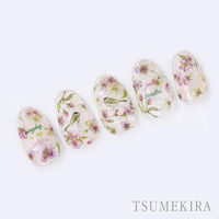 TSUMEKIRA(ツメキラ) ネイルシール DAISYプロデュース16 SAKURA/サクラ NN-DAI-124 1セット(3枚)（直送品）